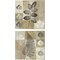 Essence of Nature by Keith Mallett 14" x 14" Canvas Wall Art (Set of 2)